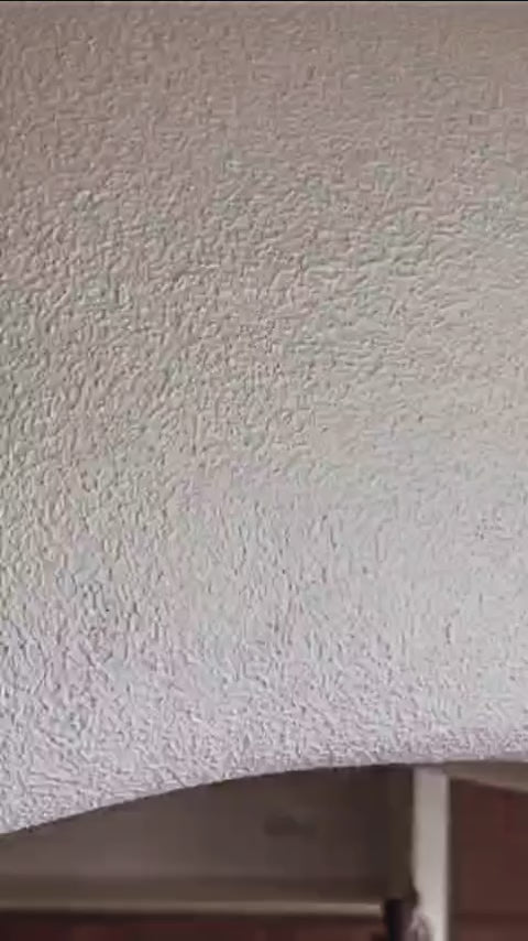 Load video: ARCADIA DOME HANGING LIGHT